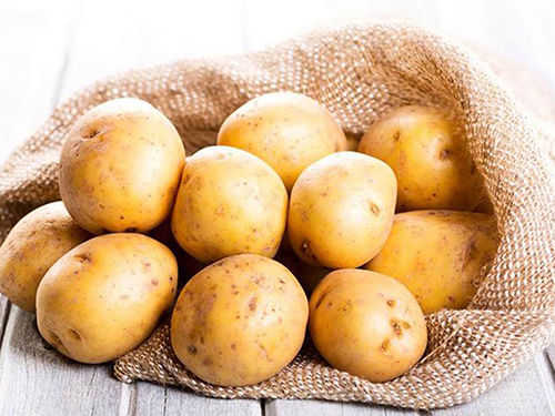 cách chữa bệnh sùi mào gà tại nhà bằng khoai tây cách chữa bệnh sùi mào gà tại nhà bằng khoai tây