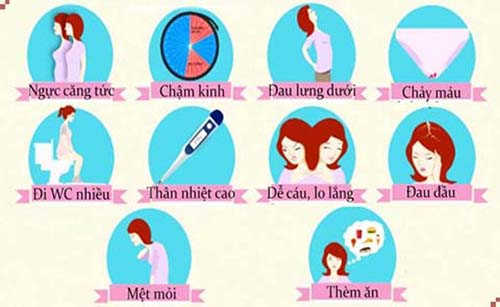 dấu hiệu có thai sớm nhất dấu hiệu có thai sớm nhất