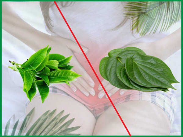 Cách chữa ngứa âm đạo