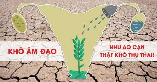 nguyên nhân khô âm đạo là gì