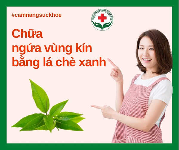 chu-ngua-vung-kin-bang-la-che-xanh