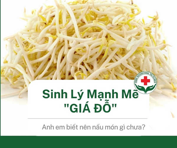 chua-yeu-sinh-ly-bang-gia-do