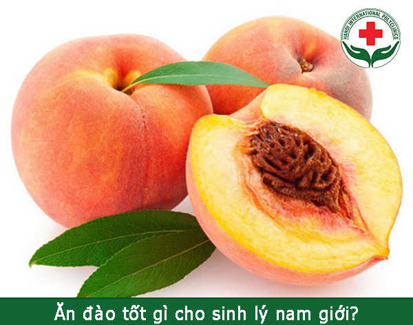 dao-tot-cho-sinh-ly-nam-gioi