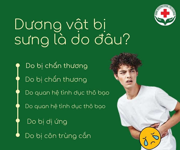 duong-vat-bi-sung