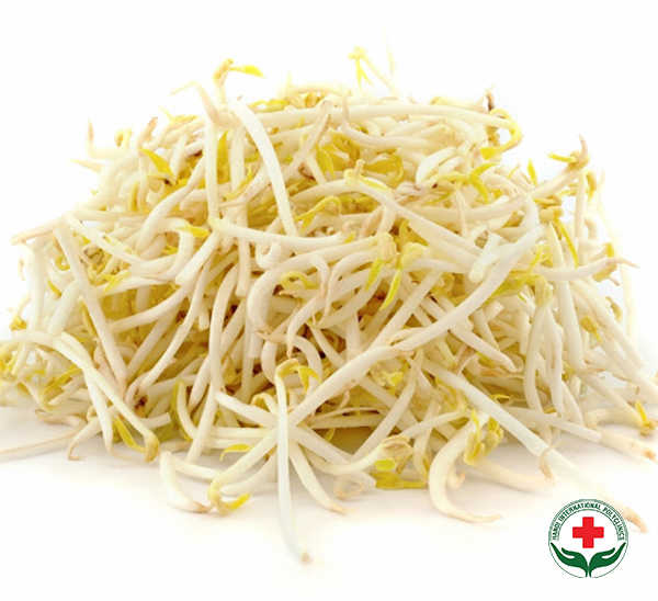 gia-do-tot-cho-sinh-ly-nam-gioi