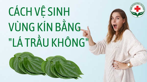 la-trau-khong-chua-viem-phu-khoa