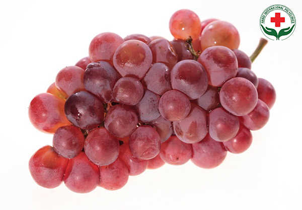 nho-tot-cho-sinh-ly-nam-gioi