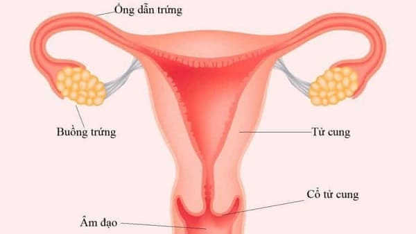 Viêm ống dẫn trứng có nguy hiểm không