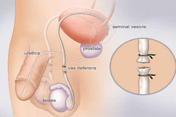 dao-nguoc-ong-dan-tinh