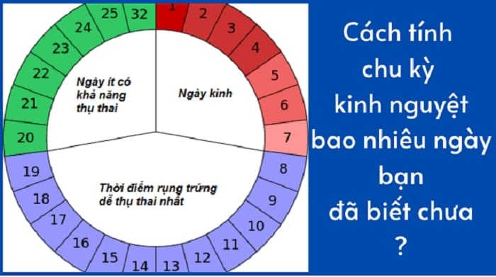 cách tính chu kỳ kinh nguyệt chính xác