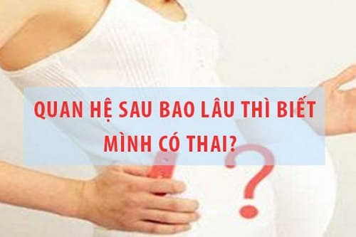 sau quan hệ bao lâu thì biết có thai