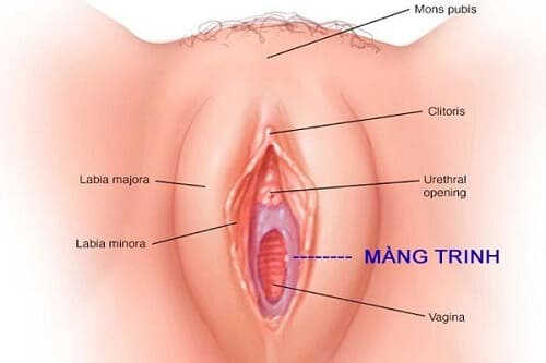 tại sao chưa quan hệ đã mất trinh