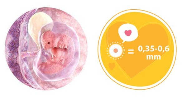 phá thai 1 tháng tuổi thế nào