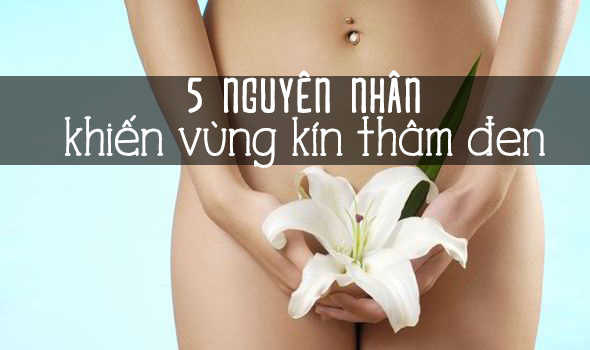nguyên nhân vùng kín thâm đen 2