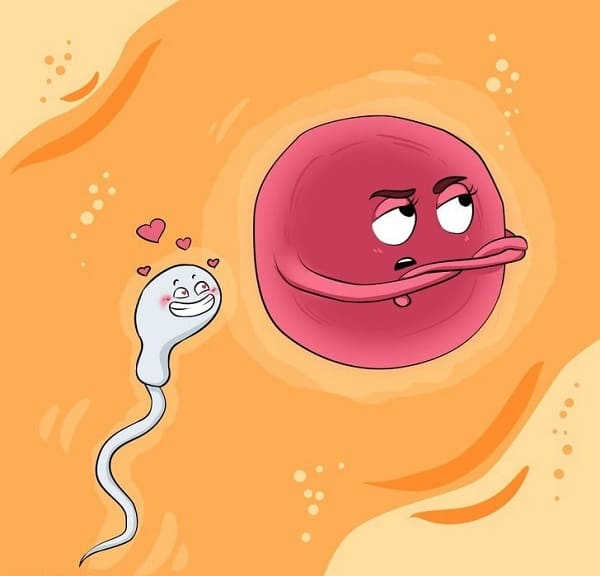 chưa sạch kinh quan hệ có thai không?