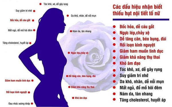 dấu hiệu rối loạn nội tiết tố nữ