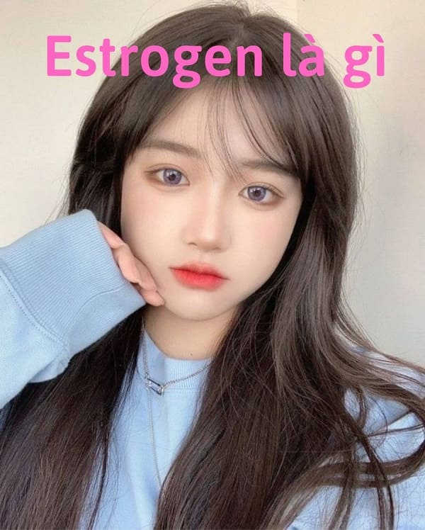 Estrogen là gì