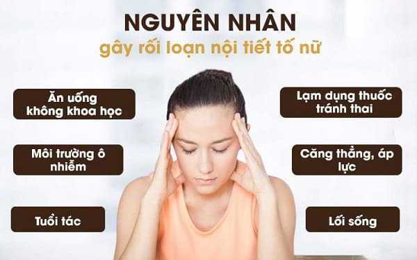 nguyên nhân rối loạn nội tiết tố nữ