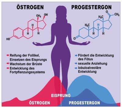 Progesterone là gì