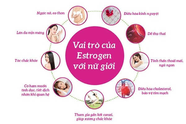 estrogen có vai trò gì đối với sức khỏe nữ giới