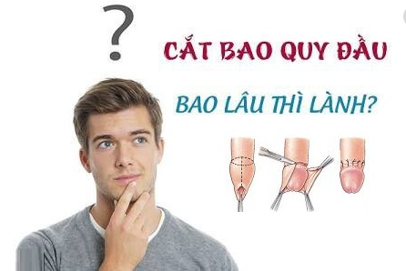Cắt bao quy đầu bao lâu thì lành